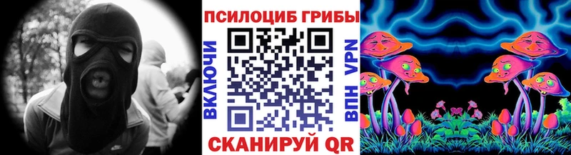 Купить закладки  Дивногорск  Галлюциногенные грибы мицелий 